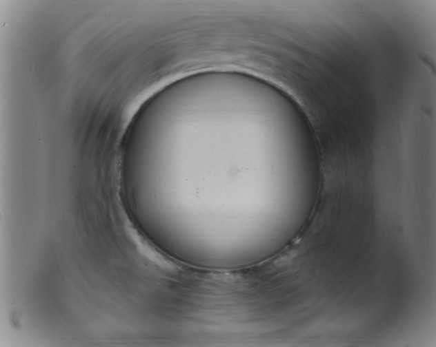 X0000099481526200805231843
