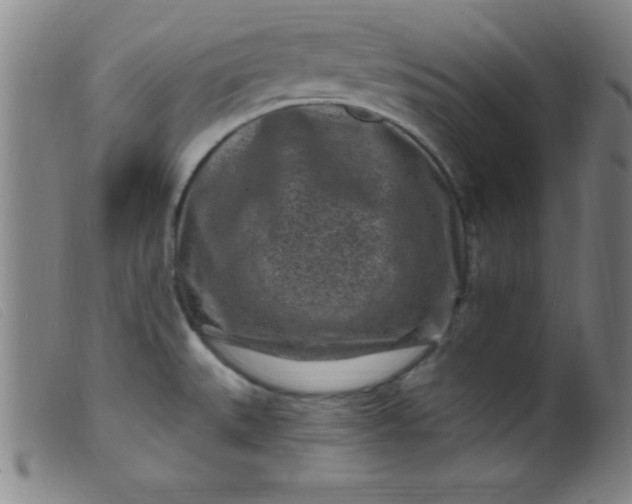 X0000099481527200805231843