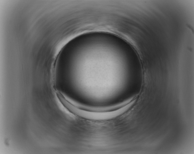 X0000099481528200805231843