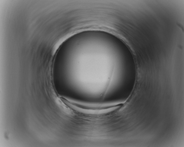 X0000099481530200805231843