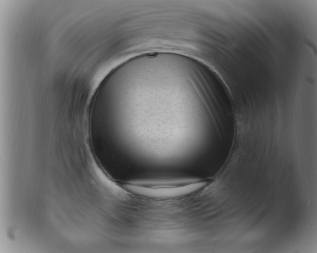 X0000099481531200805231843