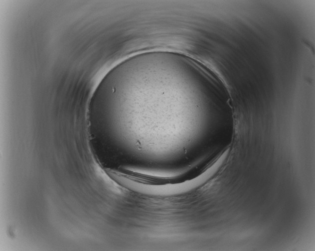 X0000099481532200805231843