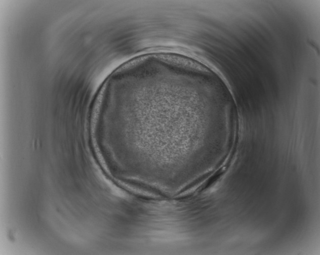 X0000099481533200805231843