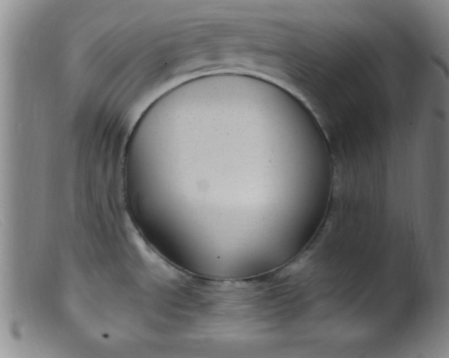 X0000099481534200805231843