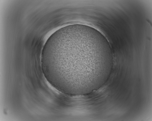 X0000099481535200805231843