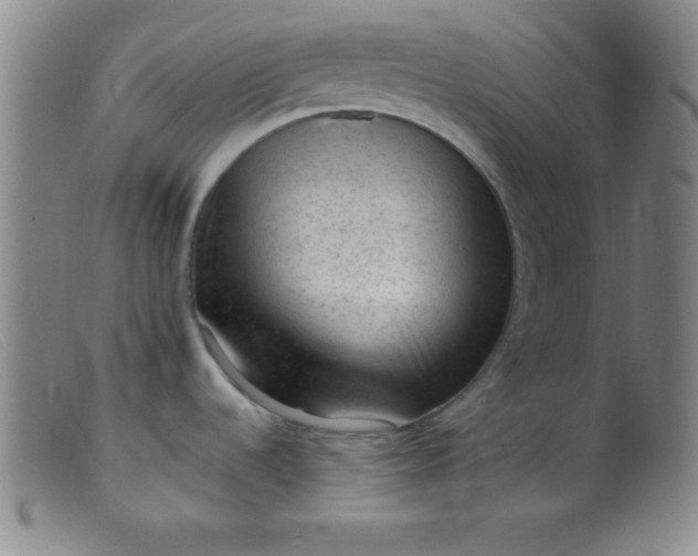 X0000099481536200805231843