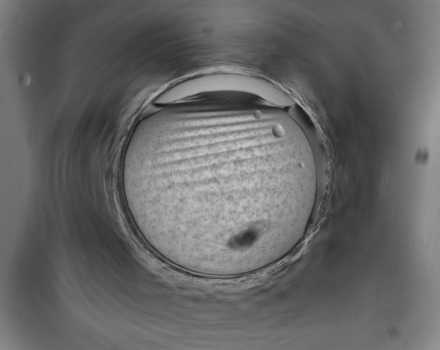 X0000099480001200805301628