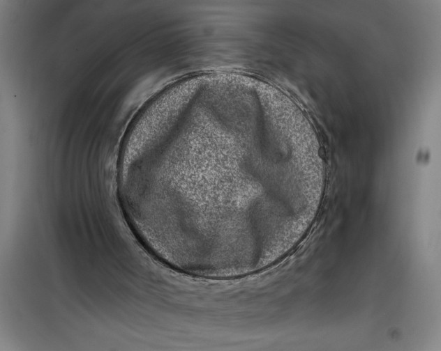 X0000099480002200805301628