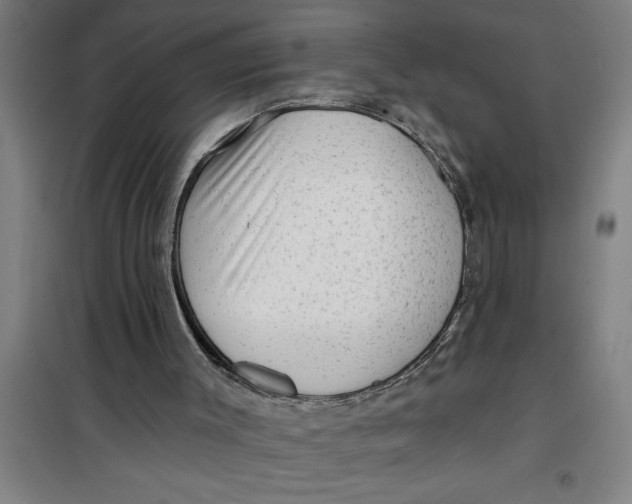 X0000099480003200805301628