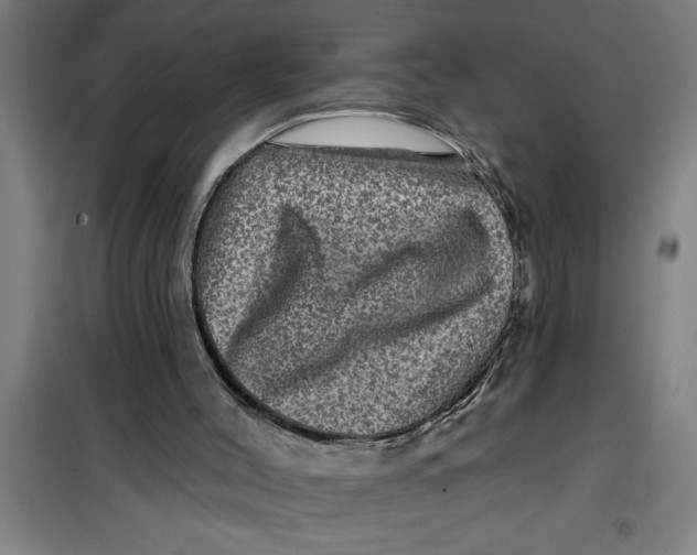 X0000099480004200805301628