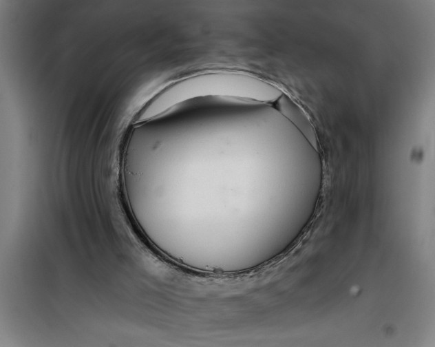 X0000099480005200805301628