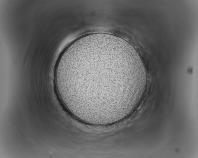X0000099480006200805301628