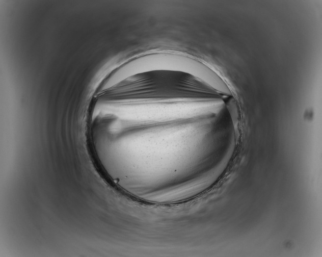 X0000099480007200805301628