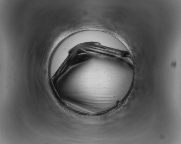 X0000099480008200805301628