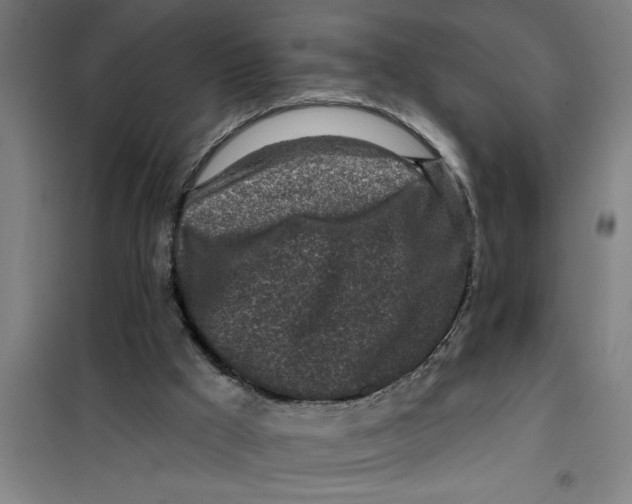 X0000099480009200805301628