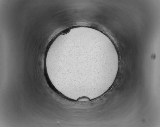 X0000099480011200805301628