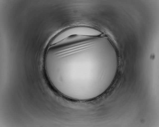 X0000099480012200805301628