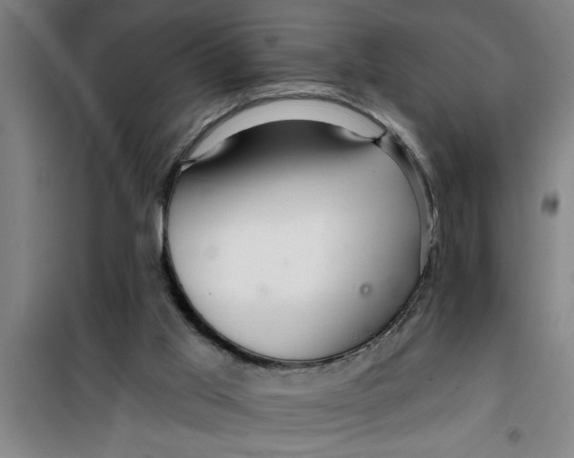 X0000099480013200805301628