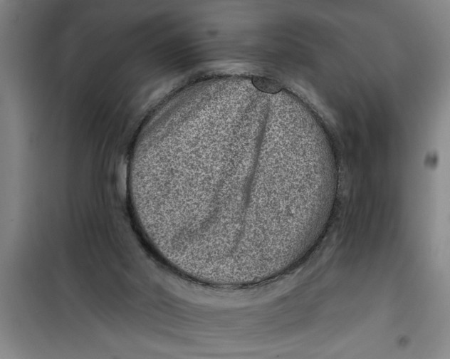 X0000099480014200805301628
