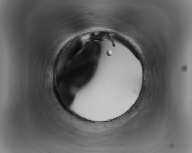 X0000099480015200805301628