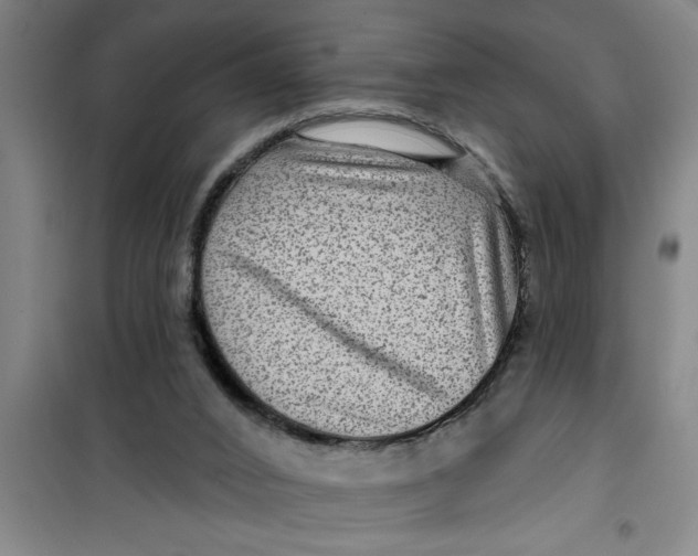 X0000099480016200805301628