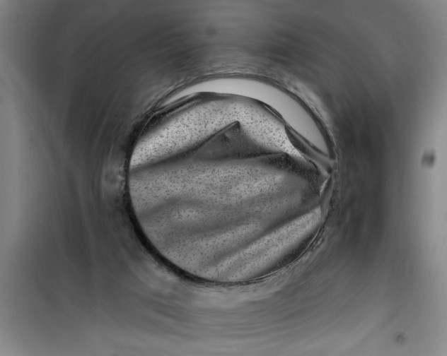 X0000099480017200805301628