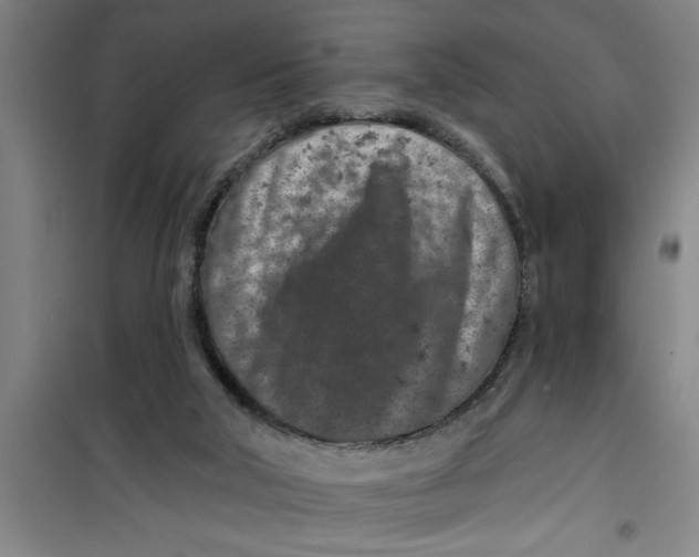 X0000099480018200805301628