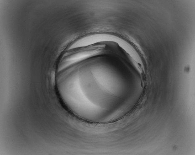 X0000099480019200805301628