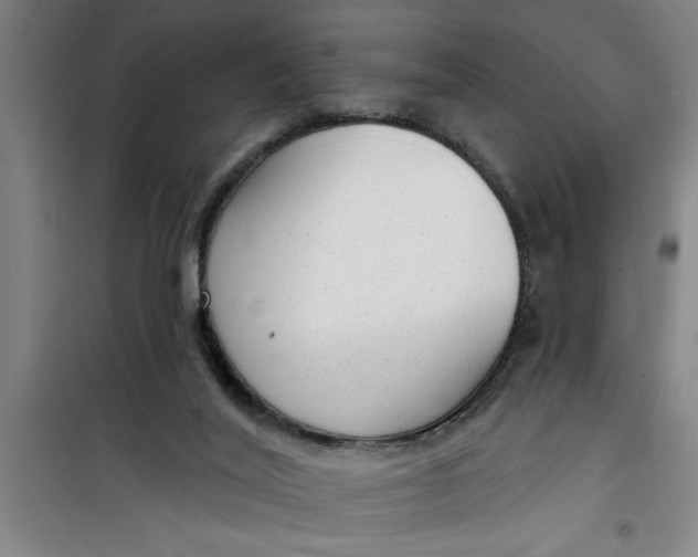 X0000099480020200805301628