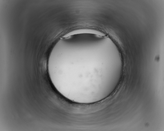 X0000099480021200805301628