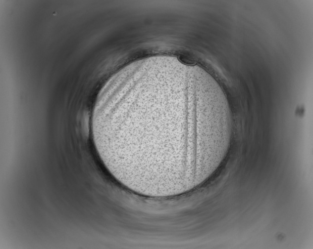 X0000099480022200805301628