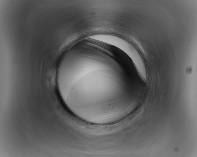X0000099480023200805301628