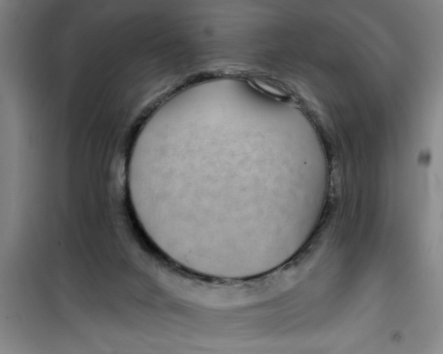 X0000099480024200805301628