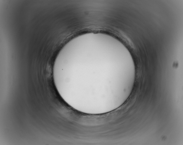 X0000099480025200805301628