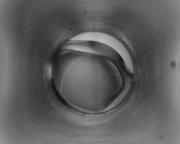 X0000099480027200805301628