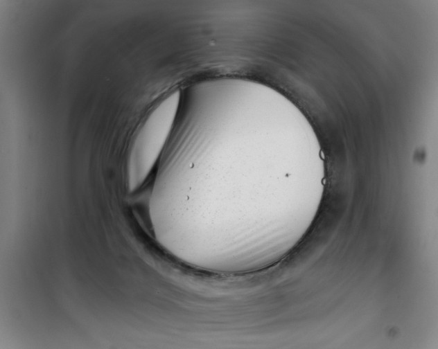X0000099480028200805301628