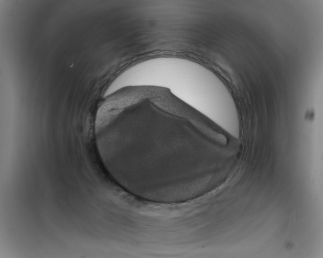 X0000099480029200805301628