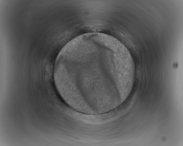 X0000099480030200805301628