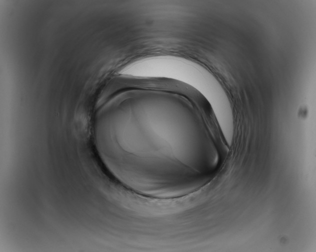 X0000099480031200805301628