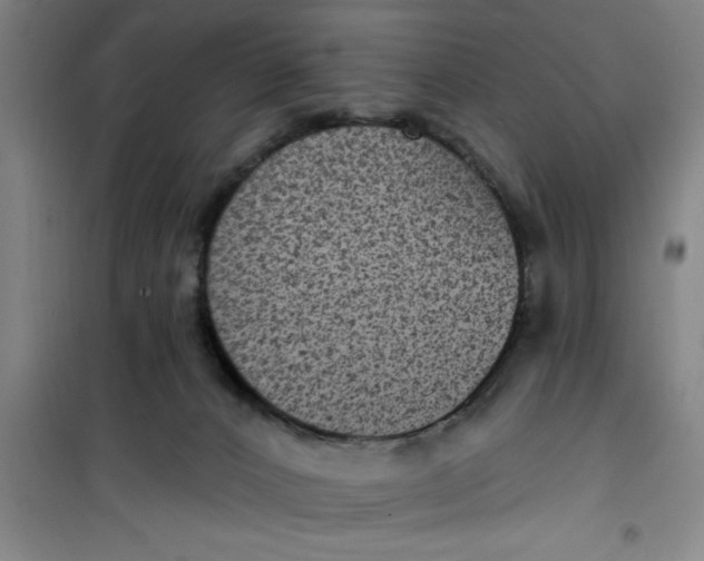 X0000099480032200805301628