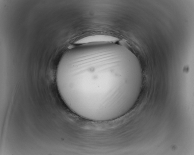X0000099480033200805301628