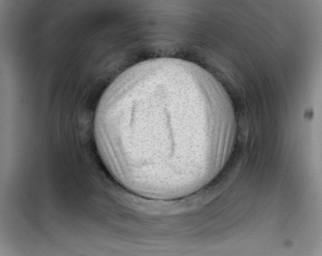 X0000099480034200805301628