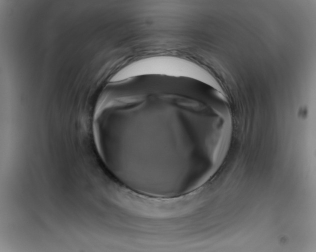 X0000099480035200805301628
