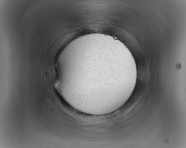 X0000099480036200805301628