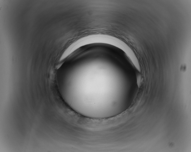 X0000099480037200805301628