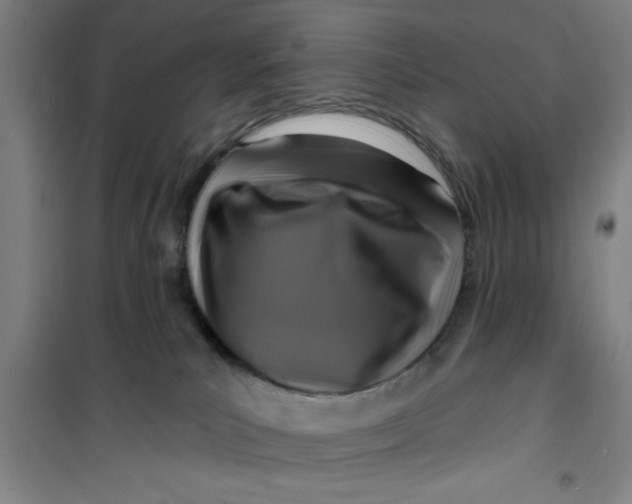 X0000099480039200805301628