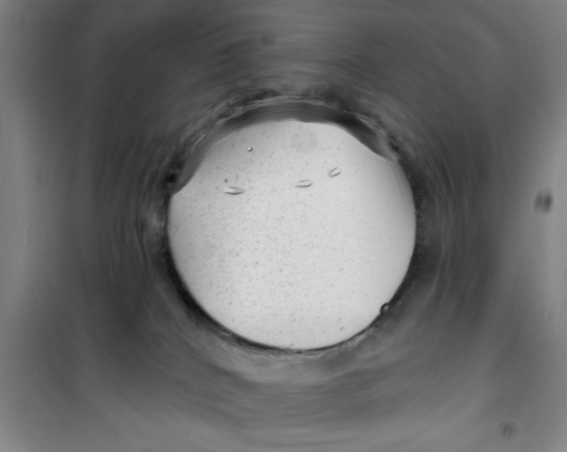 X0000099480040200805301628