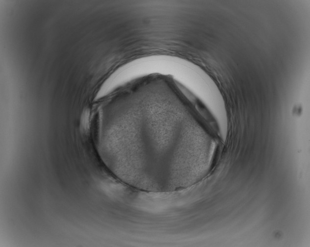 X0000099480041200805301628