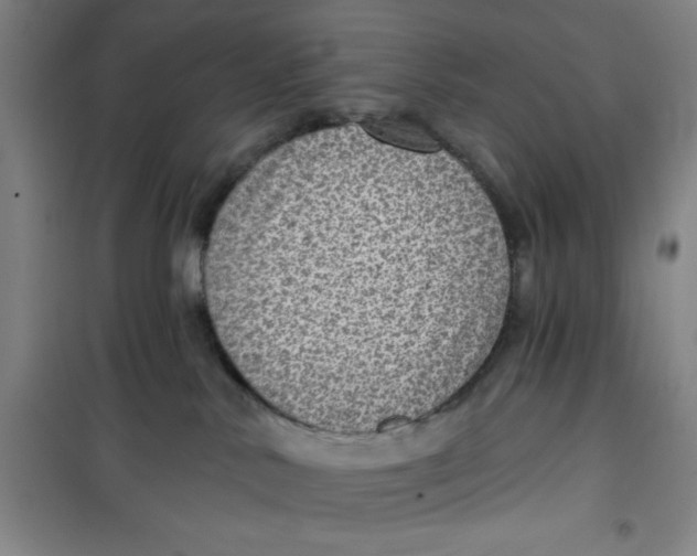 X0000099480042200805301628