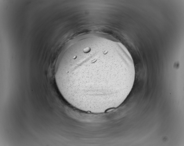 X0000099480044200805301628